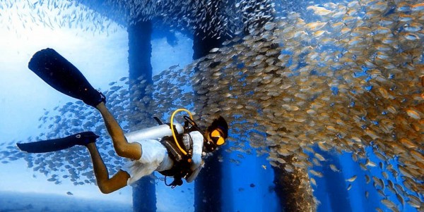 4D3N Fun Diving with B&J on Tioman (7 Dives)