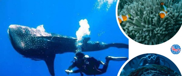 FUN DIVES - 2 DAYS TRIP