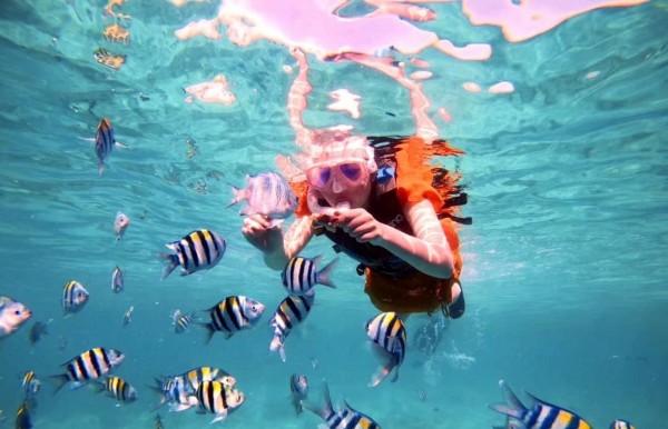 Sipadan Dive + Tun Sakaran Marine Park Snorkel Combo