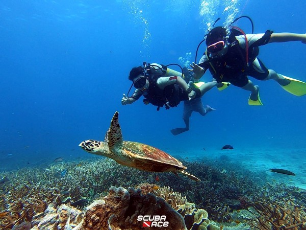 2D1N Stay at Berjaya Tioman Resort & PADI Advanced Open Water or SSI Advanced Adventurer Course