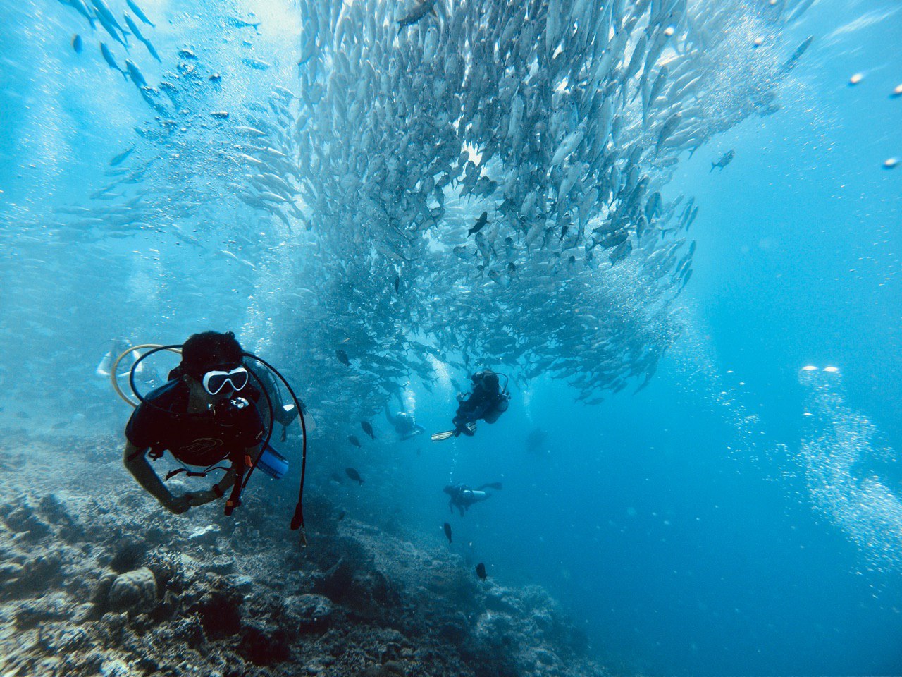 Exploring the Underwater World of Mabul Island Diving