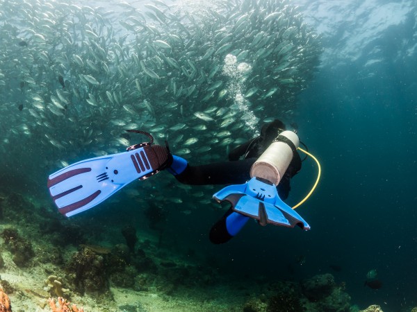 Semporna, Sabah: Your Gateway to the Most Spectacular Diving Spots in Malaysia