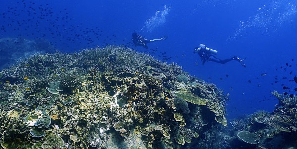 3D2N Fun Dive Package (5 boat dives) with B&J on Tioman Island