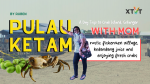 Of Fresh Crab, Kedondong Juice and Rustic Village at Pulau Ketam with My Mom