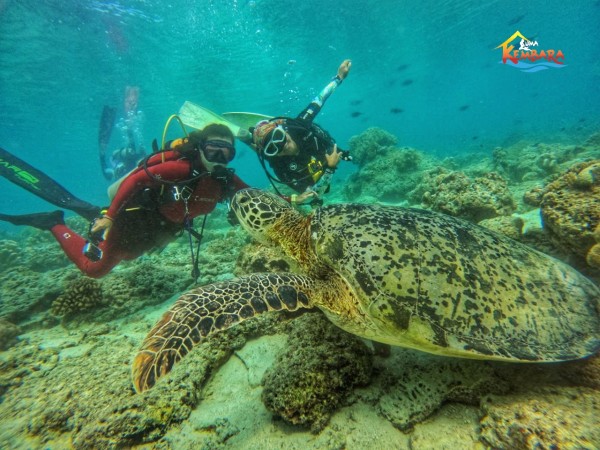 4D3N Kembara Divers Package