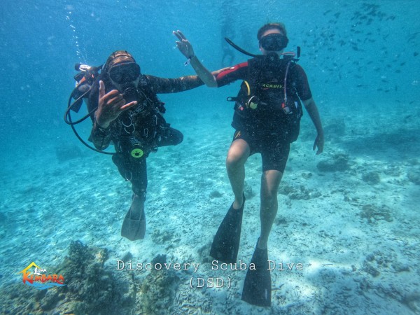 5D4N SSI Open Water Diver (2 Boat Dives)